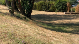Secheresse_parc_Velten