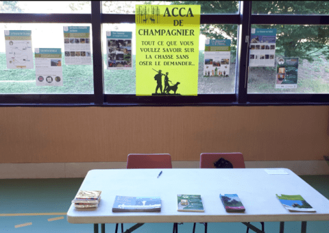 affiche acca