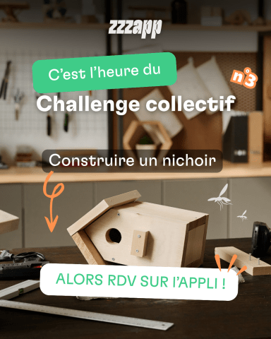 Post Action du moment - 7 mai 2026