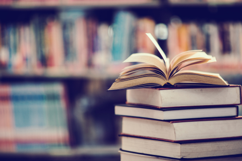 Bibliothèque livres
