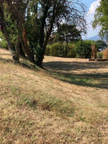 Secheresse_parc_Velten